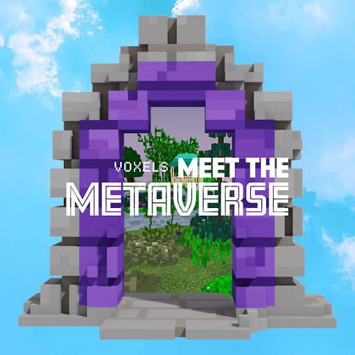 Meet The Metaverse