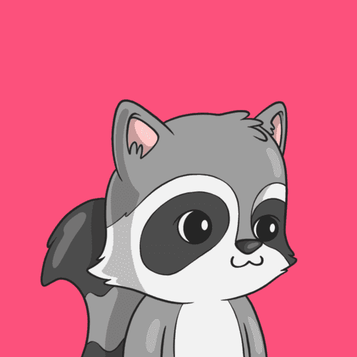 Look At My Raccoon