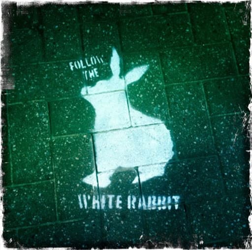 Follow the White Rabbit