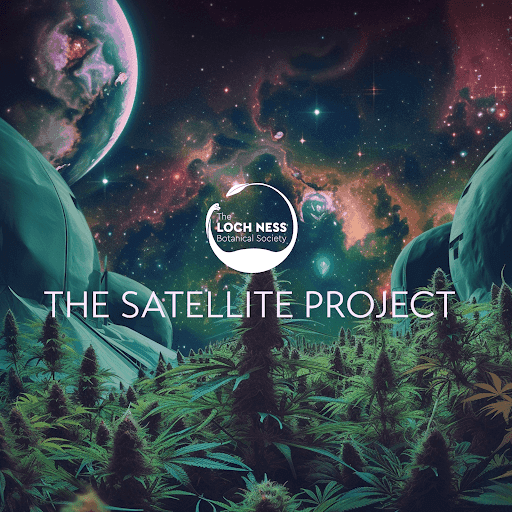 The Satellite Project by TLN