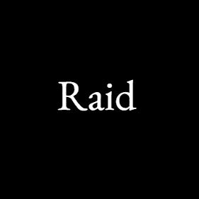 Raid Project