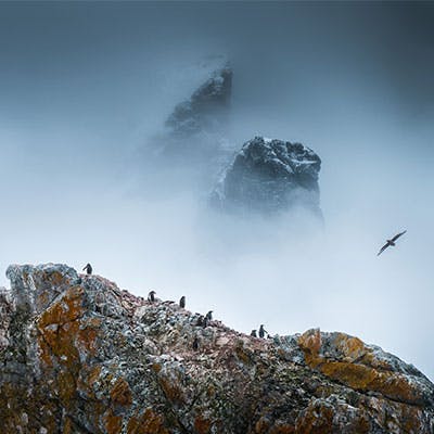 Antarctica - The Last Continent