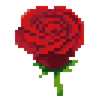 Valentine's Rose