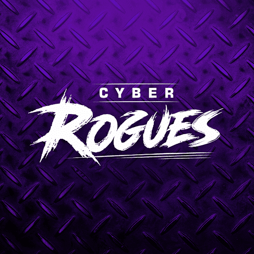 Cyber Rogues