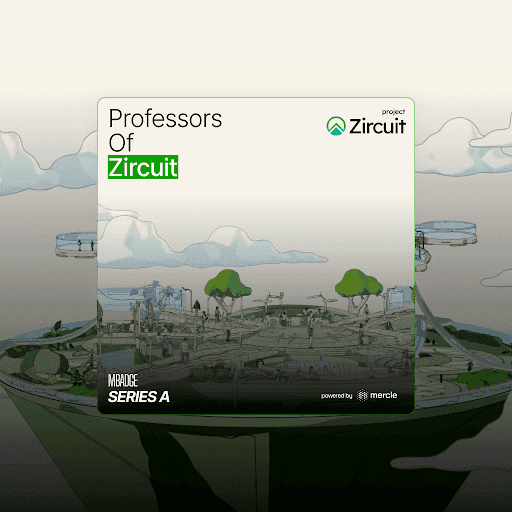 Professors of Zircuit MBADGE A