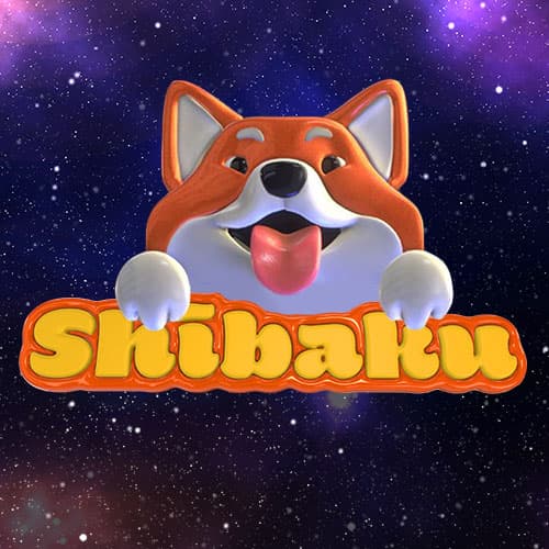 The Real Shibaku