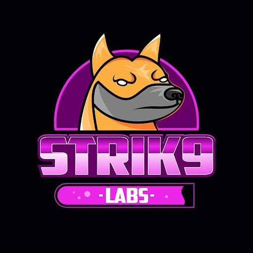 STRIK9 LABS