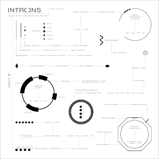 INTRONS OE