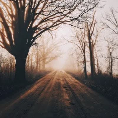 Seasonal - Bryan Minear -  A Collection of 1/1 Landscape Photography from the Midwest