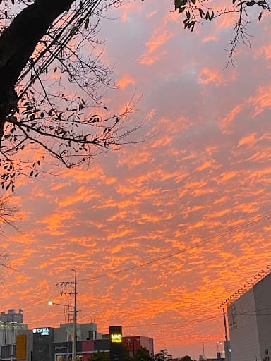 <Fantastic Sky>