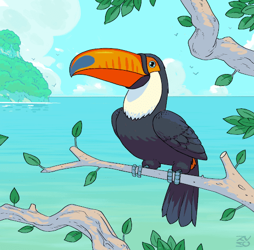 Government Toucans