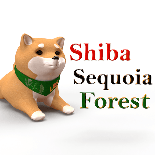 Shiba Sequoia Forest Lads