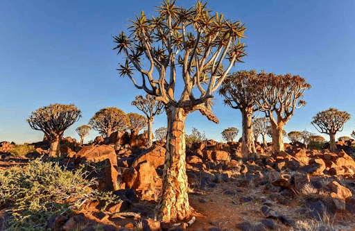 Unique trees