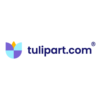 TulipArt (deprecated) - Now running on Base