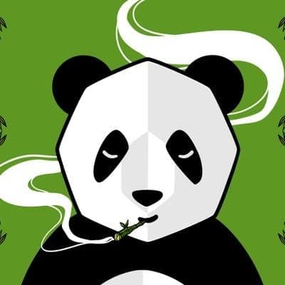 PANDA power ft Soleaswest