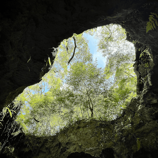 gotoplanb's SINKHOLES