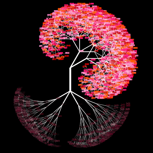 Token Trees Collection