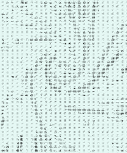 ASCIIdenza