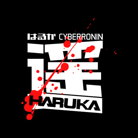 Failed CyberRonin Experiment