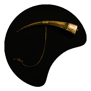 Huia Beak Brooch