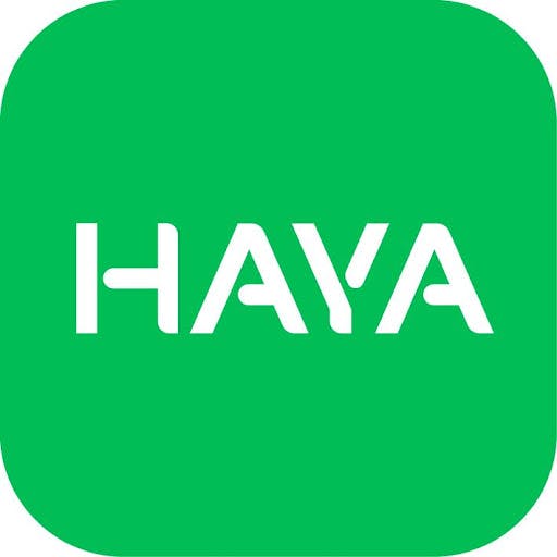 Haya Miner Genesis