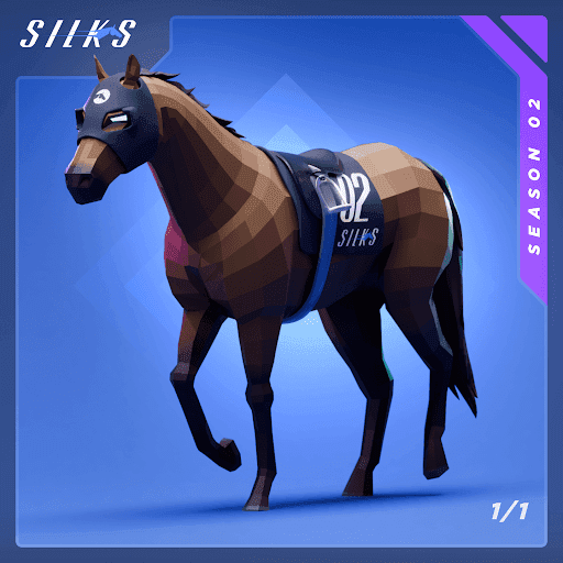 Silks Racehorses