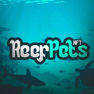 ReefPets Clownfish