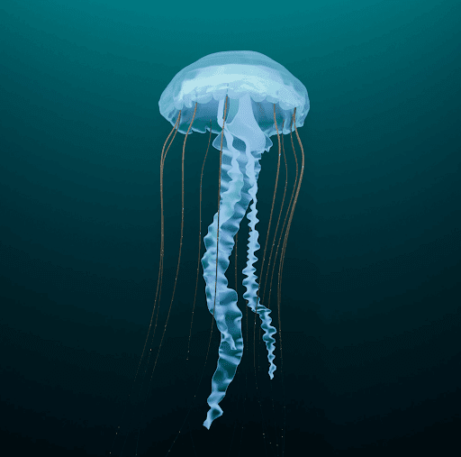 Jellyfish - Aquarium de Paris x Metaseum