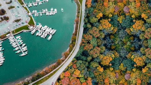 Autumn from Above