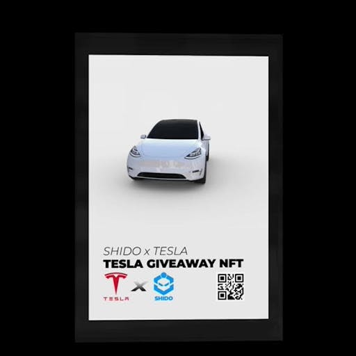 Shido X Tesla NFT