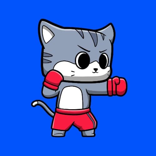 Fighter Cat PFPs