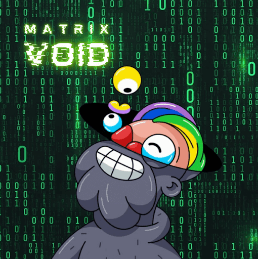 The Matrixs Void