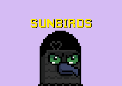 SunBirds Club