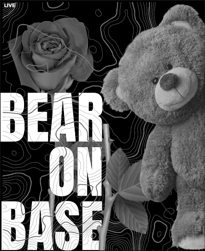 BearOnBase