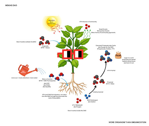 Nouns as Plants.