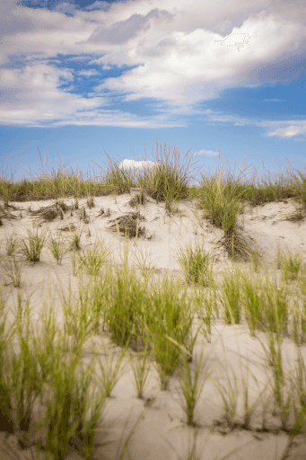 Dunes