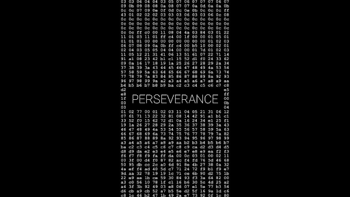 Perseverance